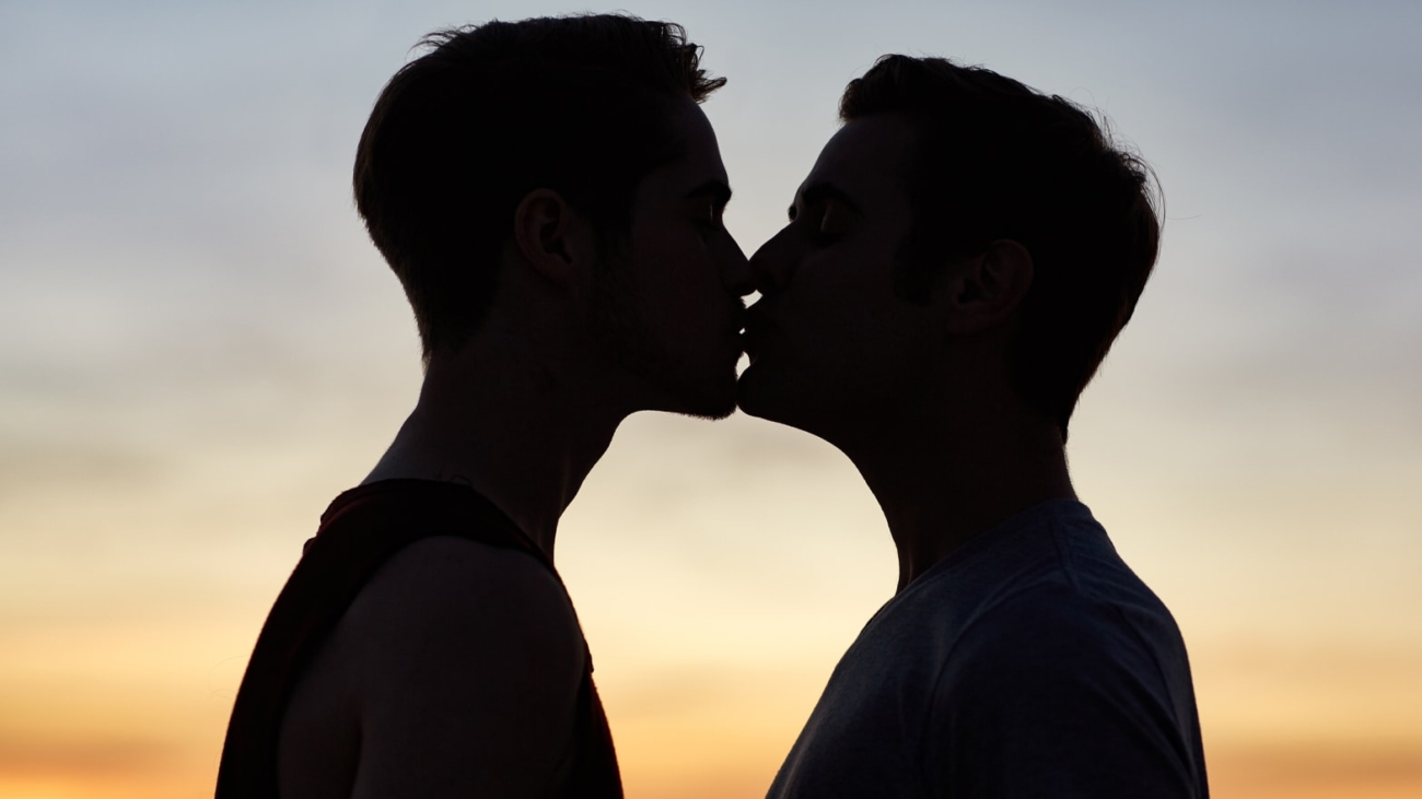 180126-allen-gay-couples-tease_qttqmp.jpg